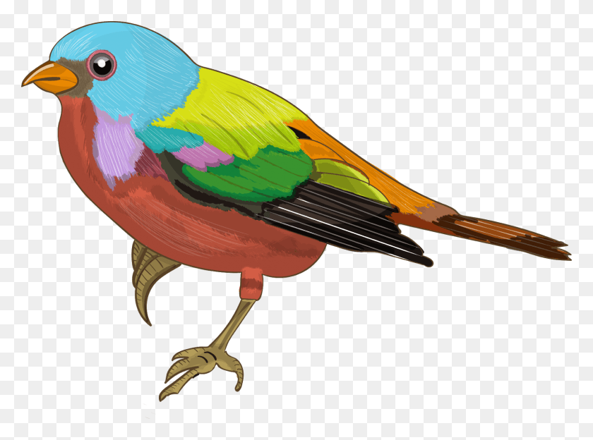 1600x1158 Colorful Sparrow Images Dibujos A Color De Pajaro, Bird, Animal, Finch Hd Png