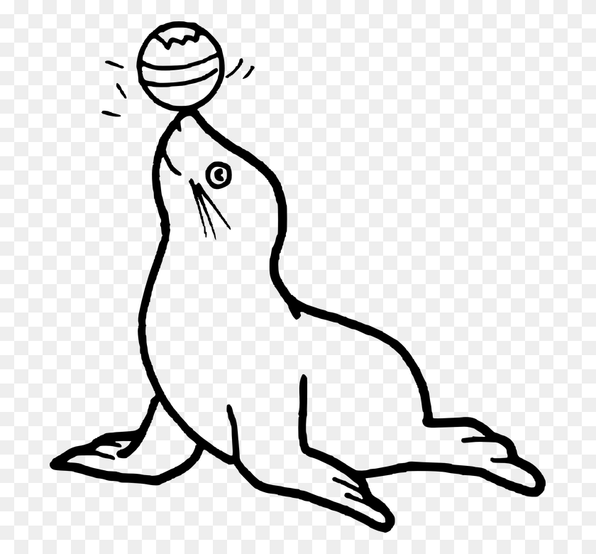699x720 Colouring Pages Of Seal, Gray, World Of Warcraft HD PNG Download