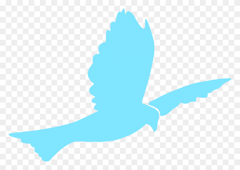 1088x750 Columbidae Doves As Symbols, Animal, Mammal, Person HD PNG Download