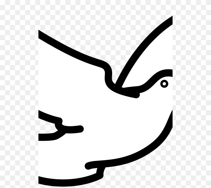 534x750 Columbidae Download Bird Drawing Doves As Symbols, Stencil, Animal, Fish, Sea Life Sticker PNG