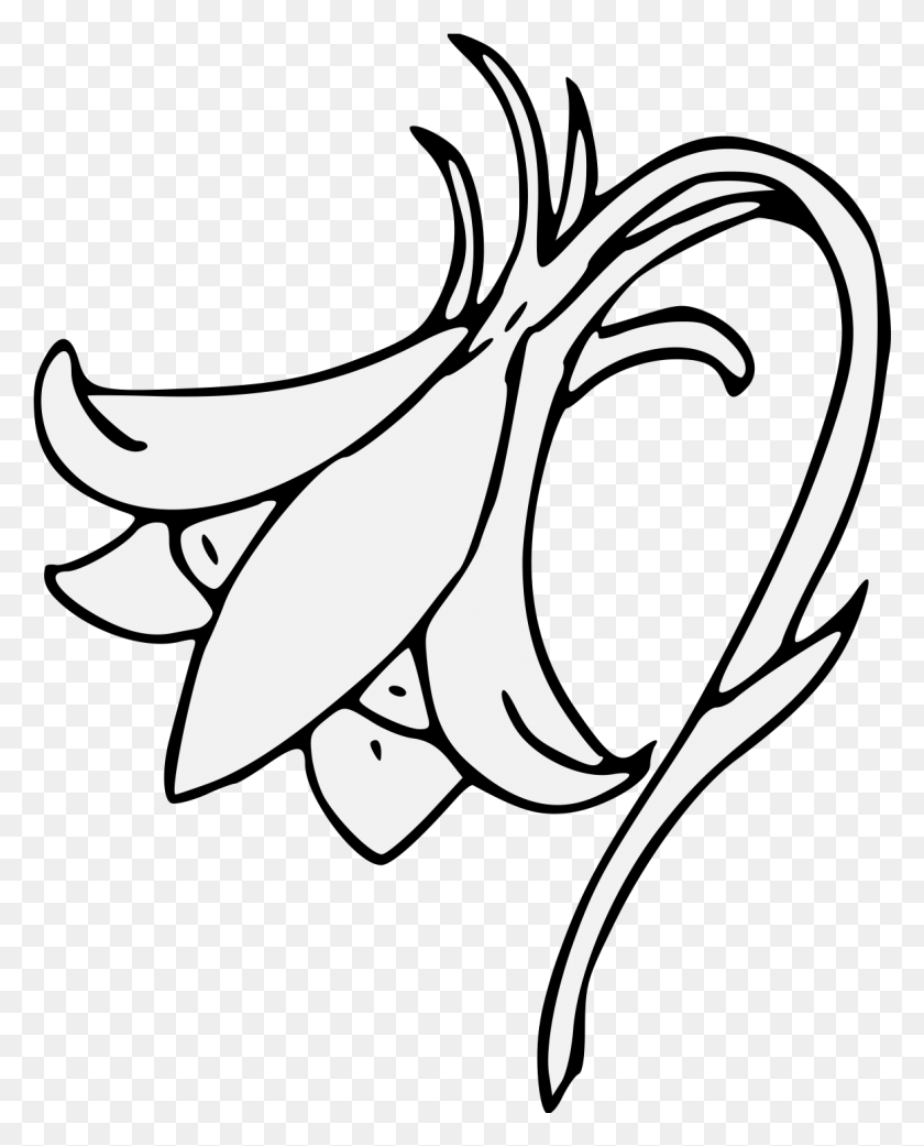 1163x1463 Columbine Slipped And Leaved Line Art, Stencil, Plant, Graphics HD PNG Download