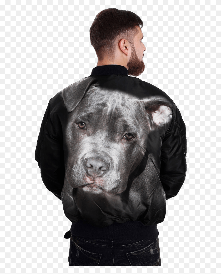 580x982 Com Pit Bull Over Print Jacket Tag Jacket, Clothing, Apparel, Person HD PNG Download