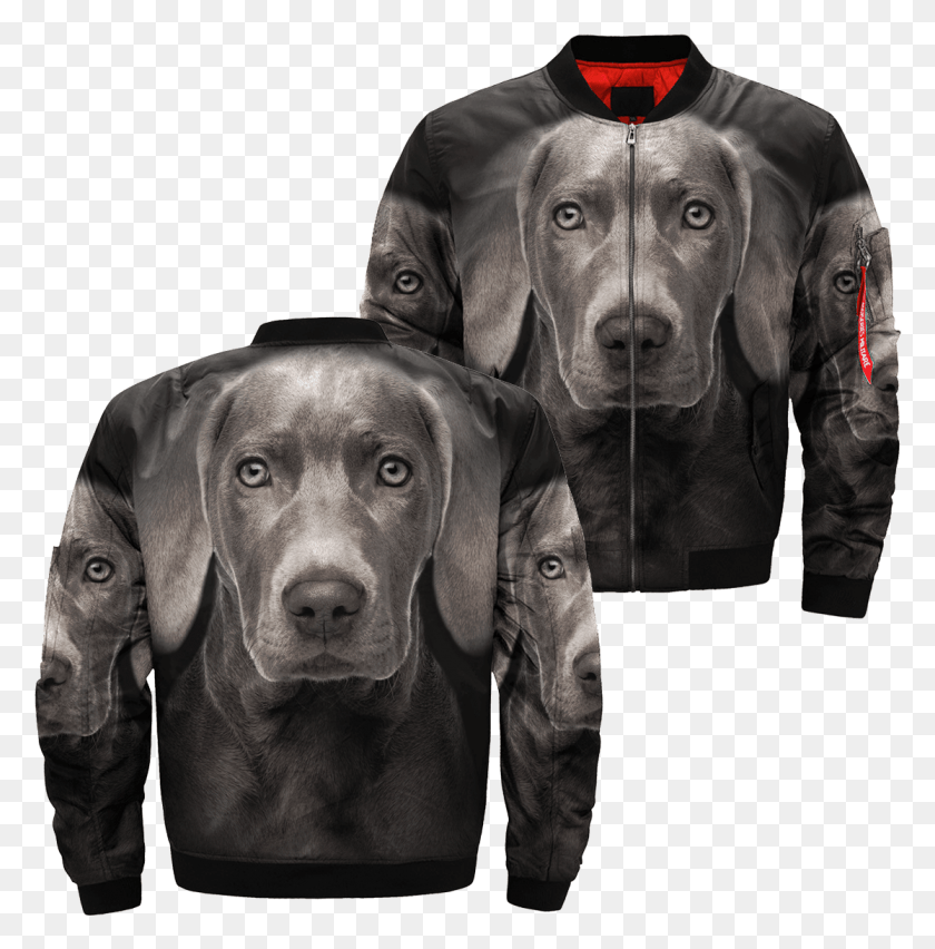 1116x1134 Com Weimaraner Over Print Jacket Tag Jacket, Clothing, Apparel, Canine HD PNG Download