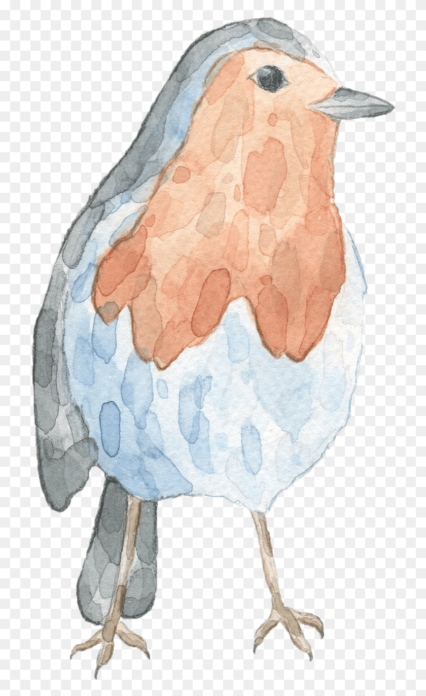 723x1312 Combeverly Swerling Living The Writing Lifeliving Eastern Bluebird, Rug, Veins HD PNG Download