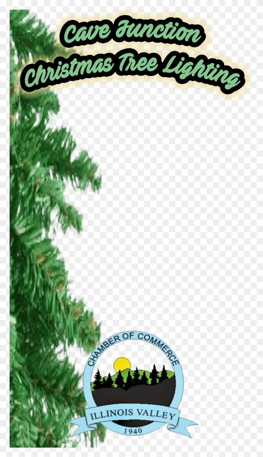 1072x1921 Come Join Us November 25 5 Pm For The Annual Lighting Shortleaf Black Spruce, Tree, Plant, Conifer HD PNG Download