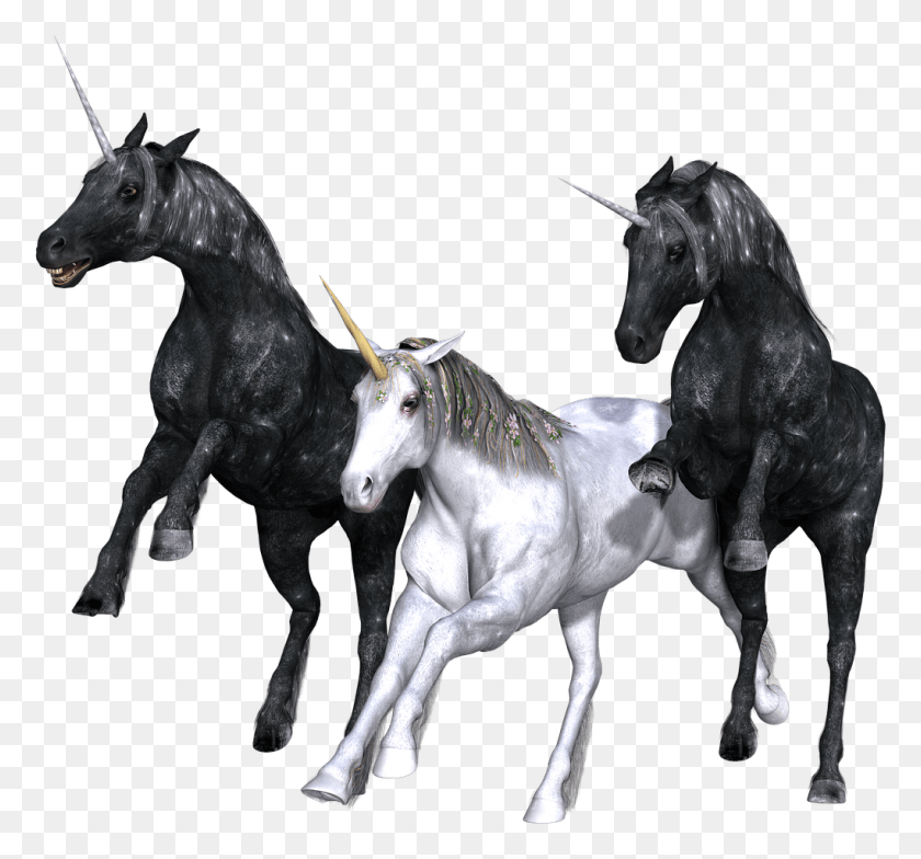 1020x947 Комиксы Y Fantasia Единорог, Андалузская Лошадь, Лошадь, Млекопитающее Hd Png Скачать