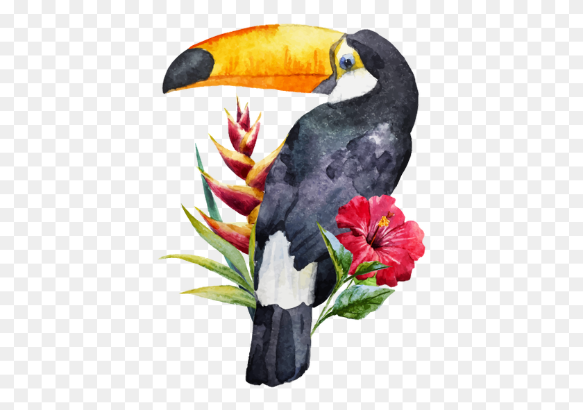 391x531 Coming Up At Claptrap Toucan Watercolor Clipart, Bird, Animal, Beak HD PNG Download