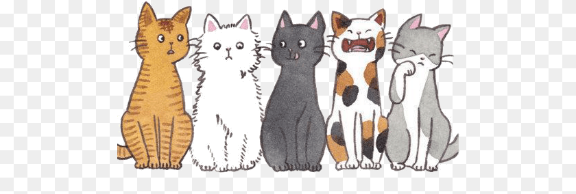 501x284 Comment On Which One You Would Be Cats Tumblr Transparent, Plush, Toy, Animal, Cat Sticker PNG