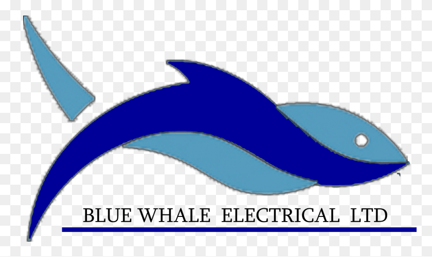 1654x936 Commercial Electricity Services In Edmonton Canada, Sea Life, Animal, Mammal HD PNG Download