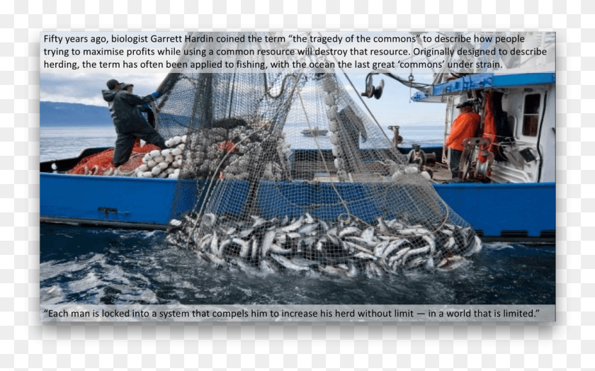 1089x648 Commercial Ocean Fishing Agriculture Forestry And Fishing, Person, Water, Animal HD PNG Download