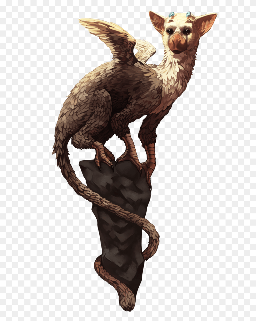 592x993 Commision For Mxaxrxt By Andromedadualitas Illustration, Bird, Animal, Reptile HD PNG Download