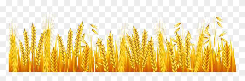 1501x420 Common Cartoon Transprent Free Grass Autumn Grass Clipart, Plant, Vegetable, Food HD PNG Download