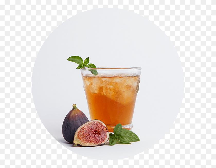 593x593 Common Fig, Plant, Potted Plant, Vase HD PNG Download