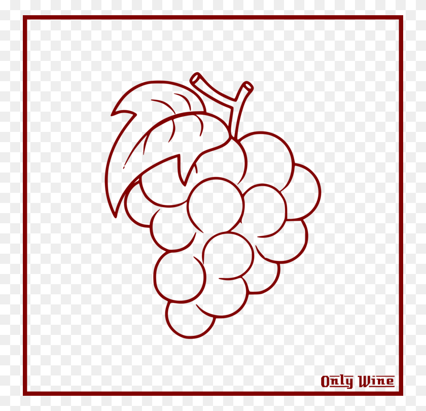 750x750 Common Grape Vine Drawing Coloring Book Grape Bunch Drawing, Dynamite, Bomb, Weapon HD PNG Download