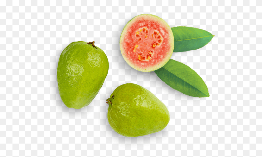540x443 Common Guava, Plant, Fruit, Food HD PNG Download