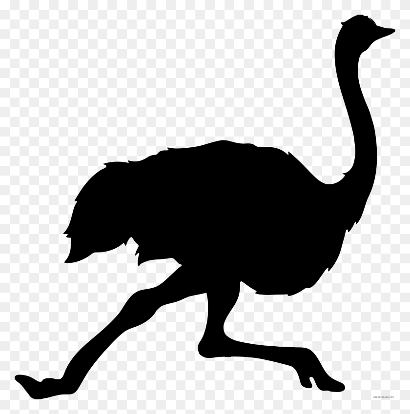 2246x2272 Common Ostrich Bird Tattoo Clip Art Silhouette Emu Ostrich Silhouette, Gray, World Of Warcraft HD PNG Download