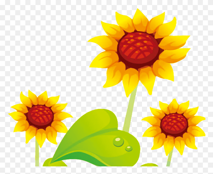 795x638 Common Sunflower Cartoon Cute Flowers Transprent Yellow Flower Cute, Plant, Flower, Blossom HD PNG Download