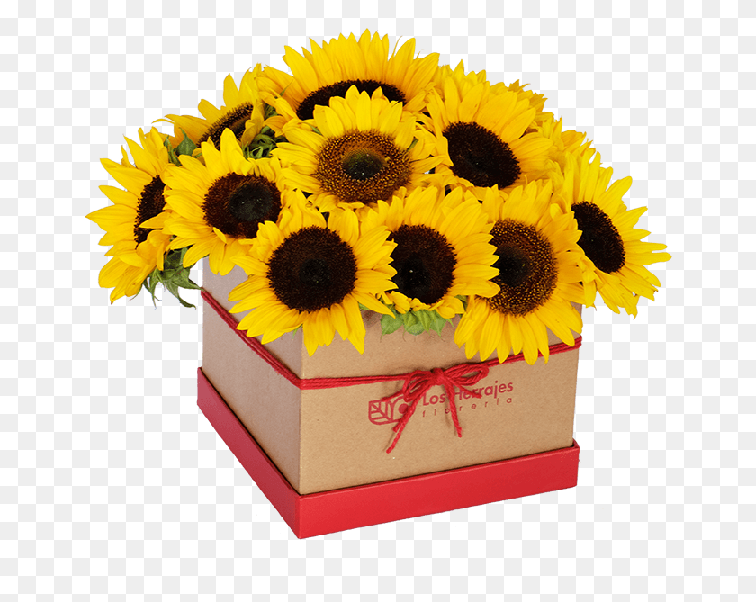 654x609 Common Sunflower Sunflower, Plant, Flower, Blossom HD PNG Download