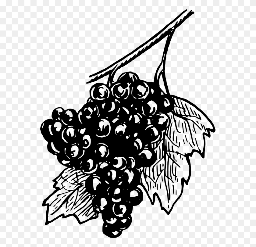 575x750 Common Vine Fruit Black And White Grapes, Gray, World Of Warcraft HD PNG Download