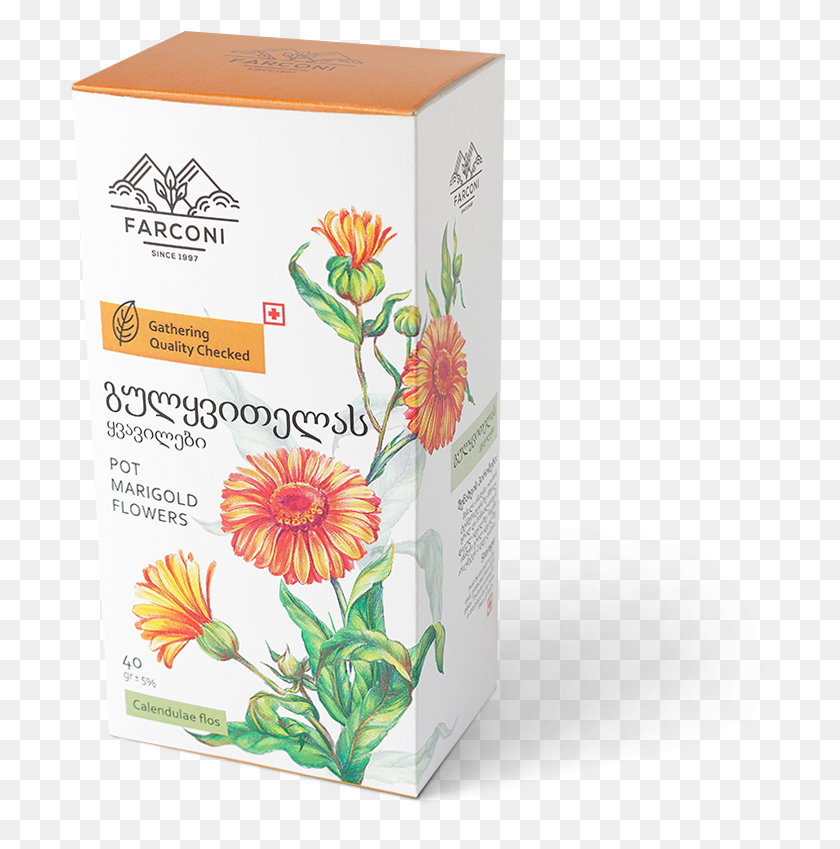 700x789 Common Zinnia, Bottle, Box HD PNG Download