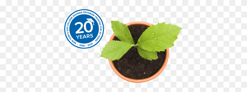 405x255 Community Leaders Flowerpot, Leaf, Plant, Soil HD PNG Download