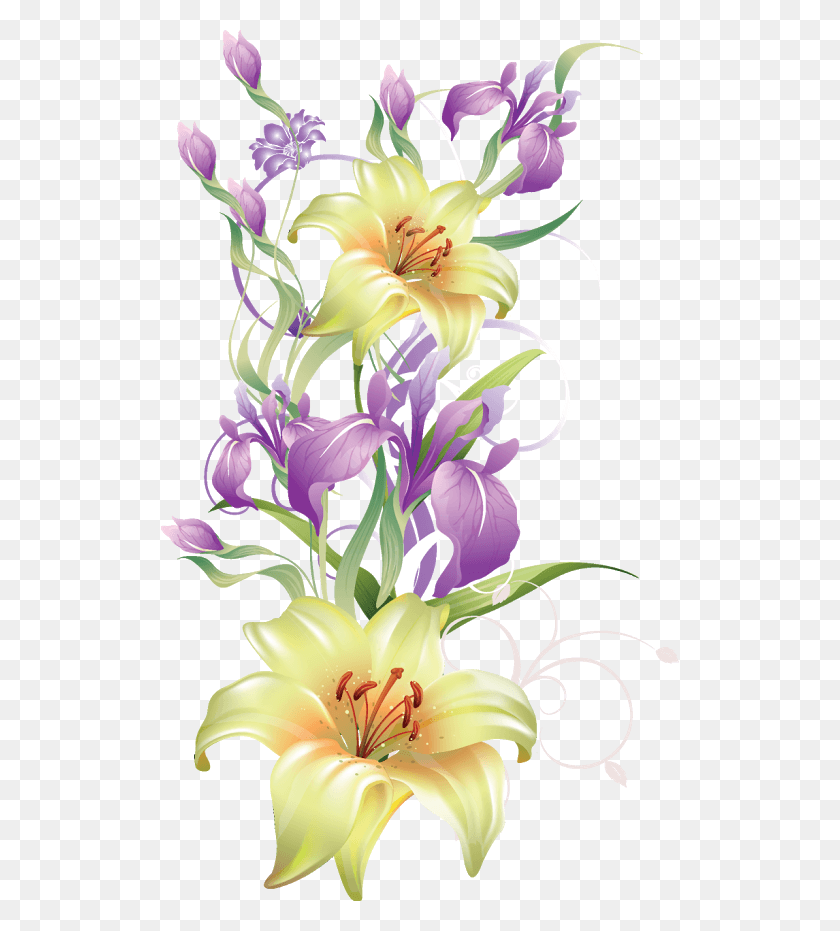518x871 Como La Miel De Abejasmil Flores Flowers Vector, Plant, Lily, Flower HD PNG Download