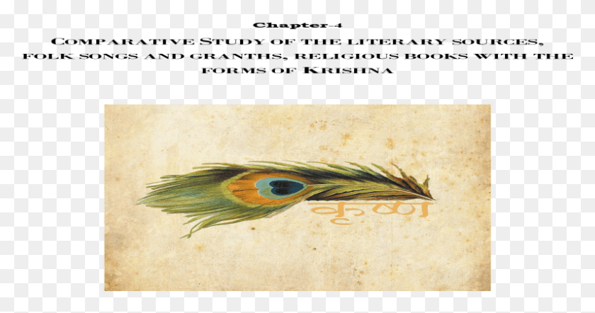 795x390 Descargar Png Estudio Comparativo De Las Fuentes Literarias Canciones Populares Coraciiformes, Pájaro, Animal, Texto Hd Png