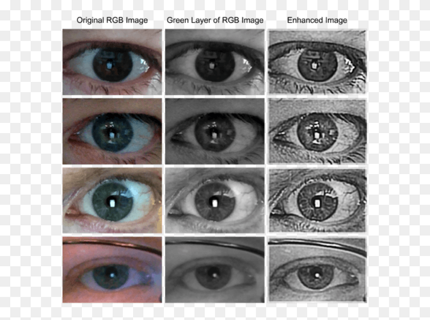 600x565 Complaint Filed Against Eye Vein Biometrics Firm 08 Close Up, Face, Collage, Poster HD PNG Download