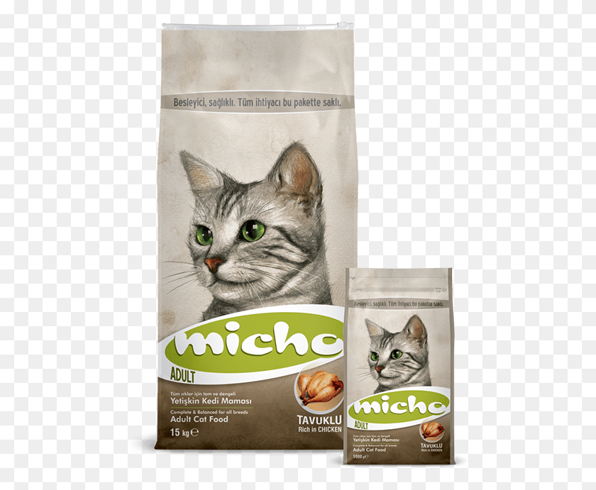491x631 Complete Amp Balanced For All Breeds Micho Kedi Mamas, Label, Text, Cat HD PNG Download