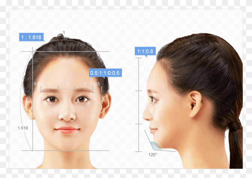850x583 Completion Of Baby Face Golden Ratio Facial Contouring Ratio Surgery, Head, Jaw, Person HD PNG Download