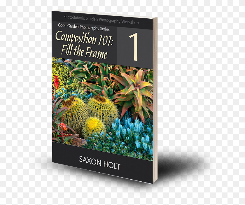 682x643 Composition Flyer, Plant, Produce, Food HD PNG Download
