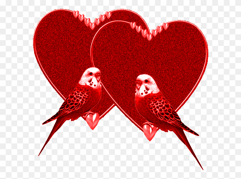 612x564 Comprar Adobe Photoshop Glitter Graphics Animals, Bird, Animal, Heart HD PNG Download