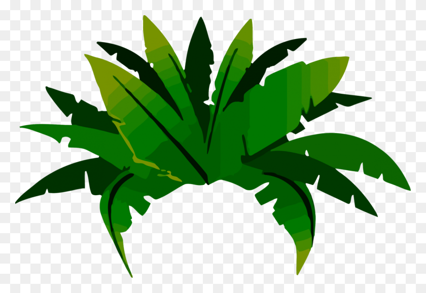 1129x750 Computer Icons Banana Surf Shop Coffee Botany Palm Amazon Forest, Leaf, Plant, Green HD PNG Download