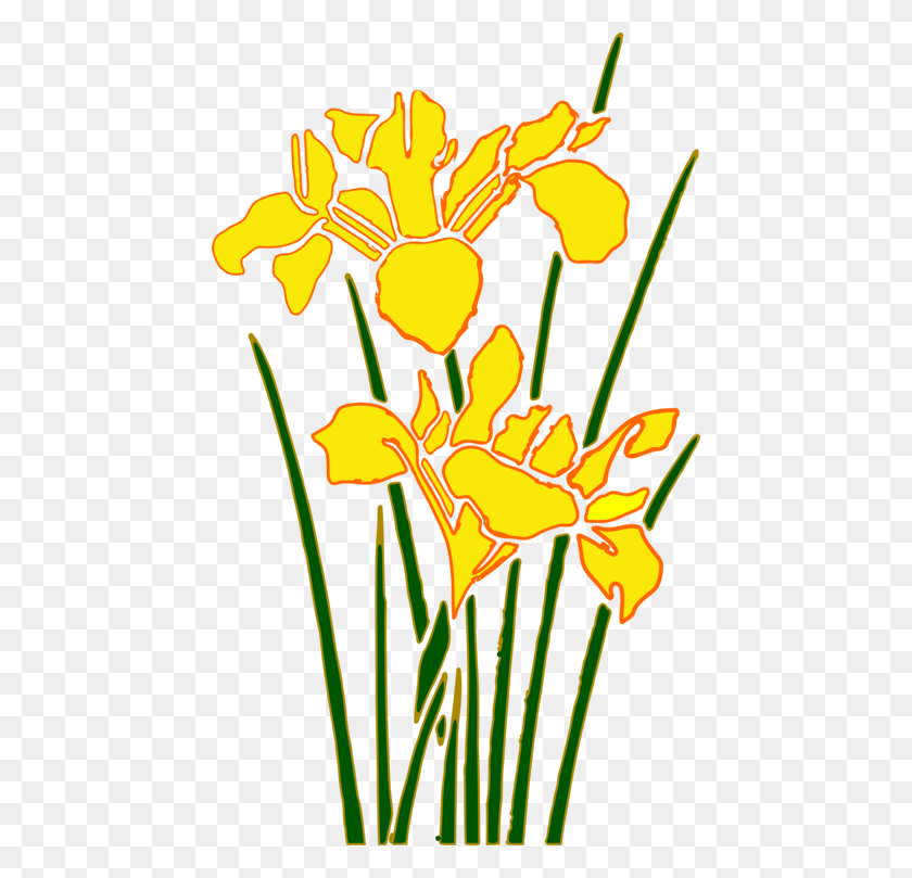 450x749 Computer Icons Irises Flower Cartoon Gambar Bunga Taman, Plant, Blossom, Petal HD PNG Download