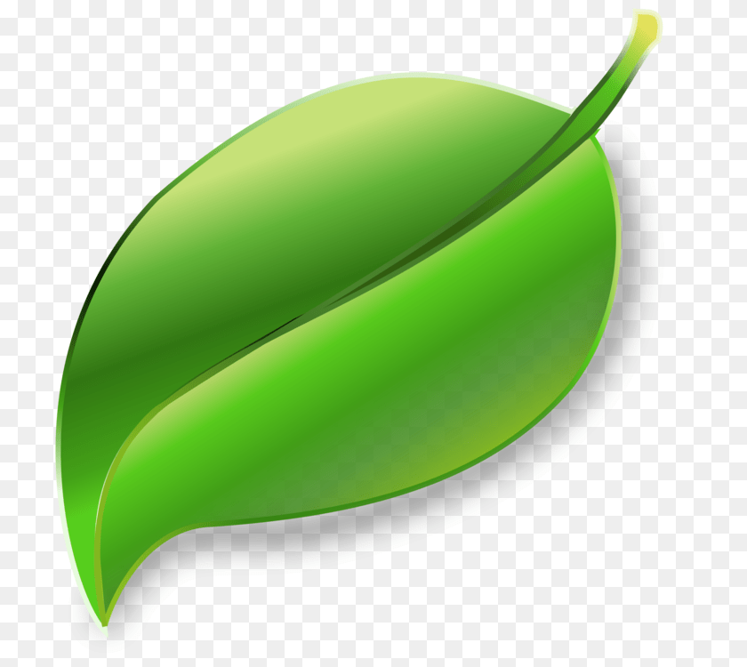 Computer Icons Waxing Girl Studio Theme Icon Design, Green, Leaf, Plant, Produce PNG