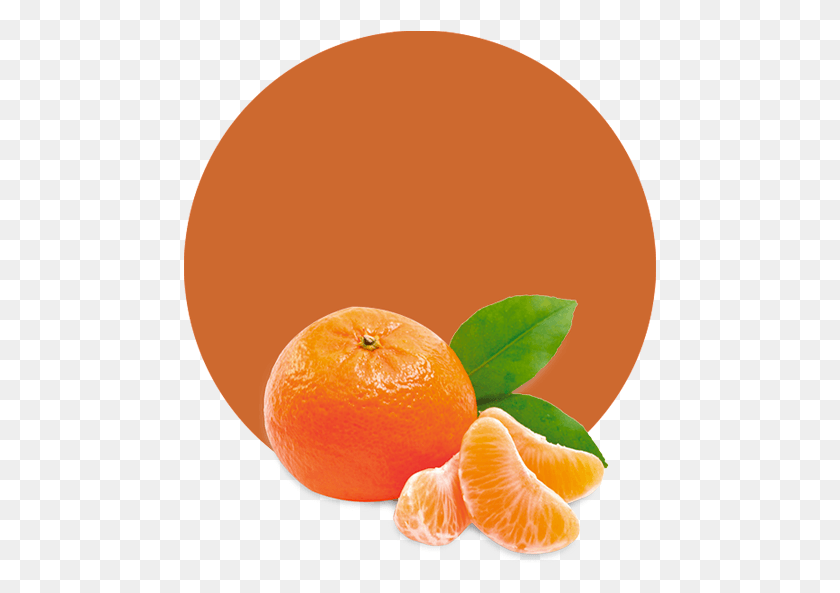 473x533 Comwp Essential Oil Fresh Orange, Citrus Fruit, Fruit, Plant HD PNG Download