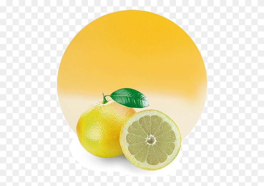 478x532 Comwp Grapefruit Concentrate White Grapefruit Look Alike Lemon, Citrus Fruit, Fruit, Plant HD PNG Download
