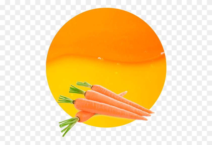 478x516 Концентрат Сока Comwp Овощи Изображения За Штуку, Морковь, Овощ, Растение Png Скачать