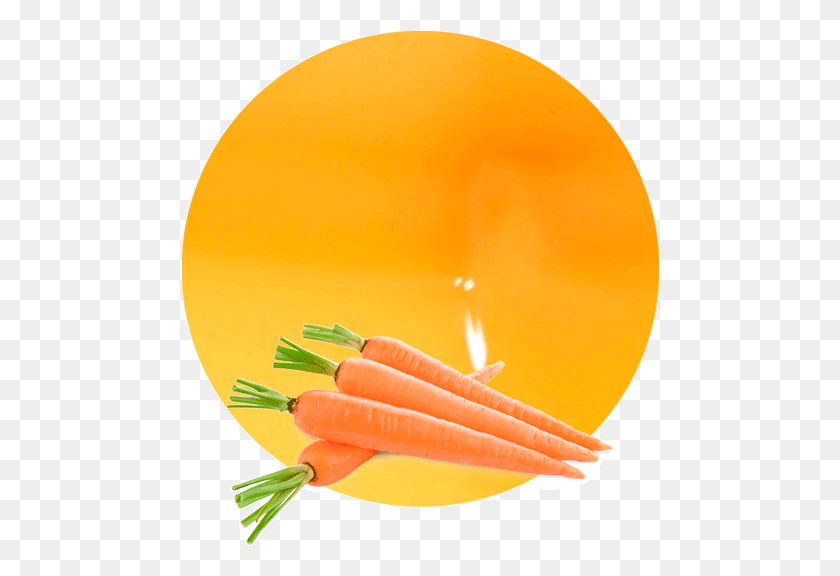 478x516 Comwp Juice Nfc Just Don T Carrot All, Vegetable, Plant, Food HD PNG Download