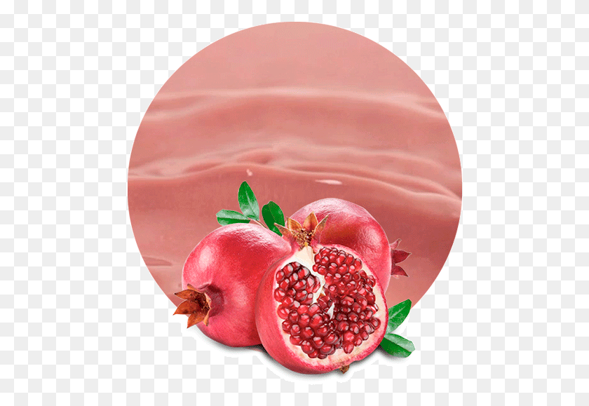 478x519 Comwp Pomace Pomegranate На Английском Языке, Растение, Продукты, Еда Png Скачать