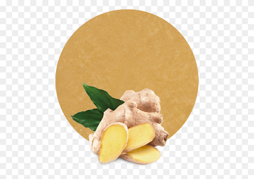 475x533 Comwp Puree, Plant, Ginger, Food HD PNG Download
