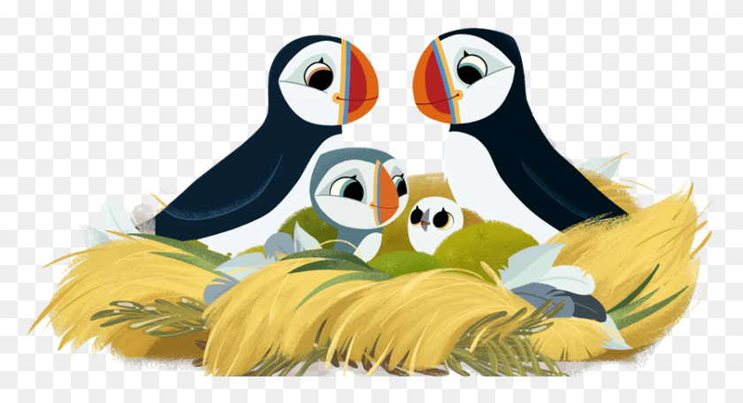 833x423 Concept Art Puffin Rock Cartoon, Animal, Bird, Giant Panda HD PNG Download