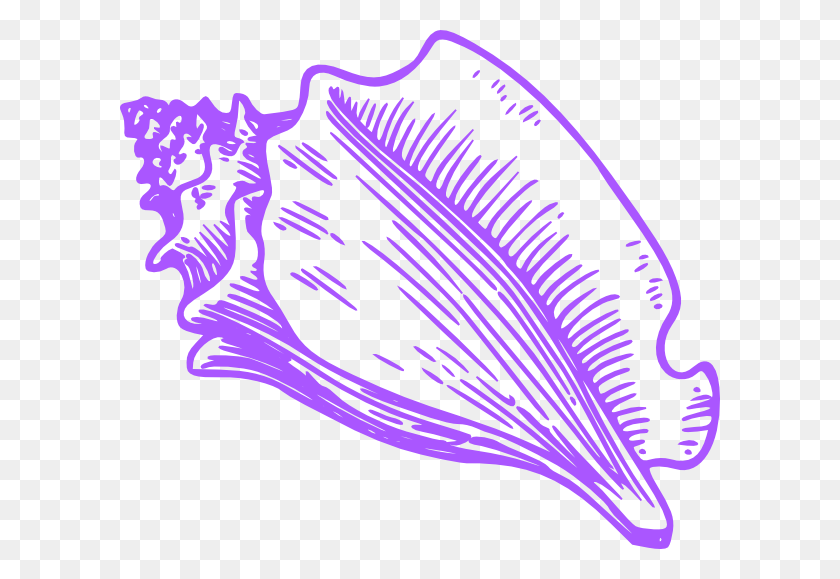 600x519 Conch Shell Clip Art, Sea Life, Animal, Clam HD PNG Download
