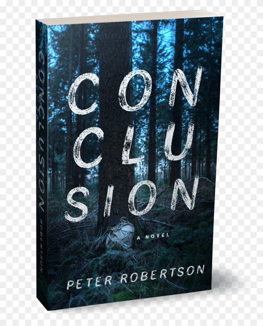1241x1561 Conclusion Book Cover, Text, Novel, Book HD PNG Download