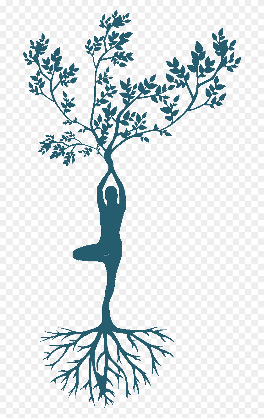 694x1272 Conclusion Of Yoga, Plant, Root, Tree HD PNG Download