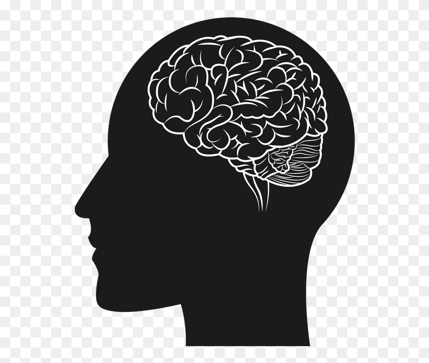 554x650 Concussion Human Brain, Clothing, Apparel, Hat HD PNG Download