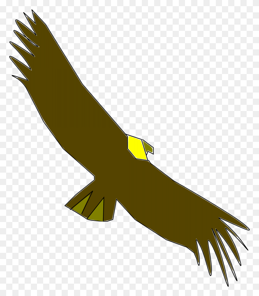 2078x2400 Png Кондор На Getdrawings Com Free For Personal Condor Клипарт, Животное, Полет, Птица Png Скачать