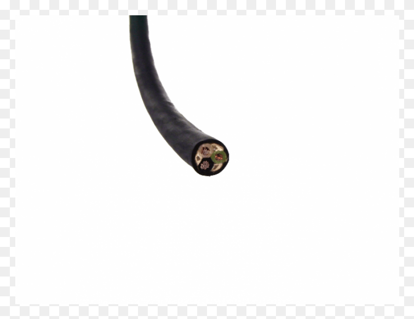 801x602 Conductor Sjoow Soow Cord Wire Coaxial Cable, Hose, Bird, Animal HD PNG Download
