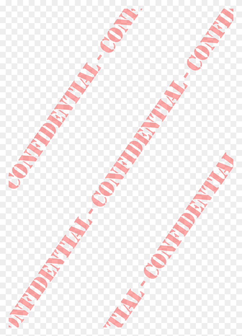 1647x2334 Confidential, Text, Plot, Number HD PNG Download
