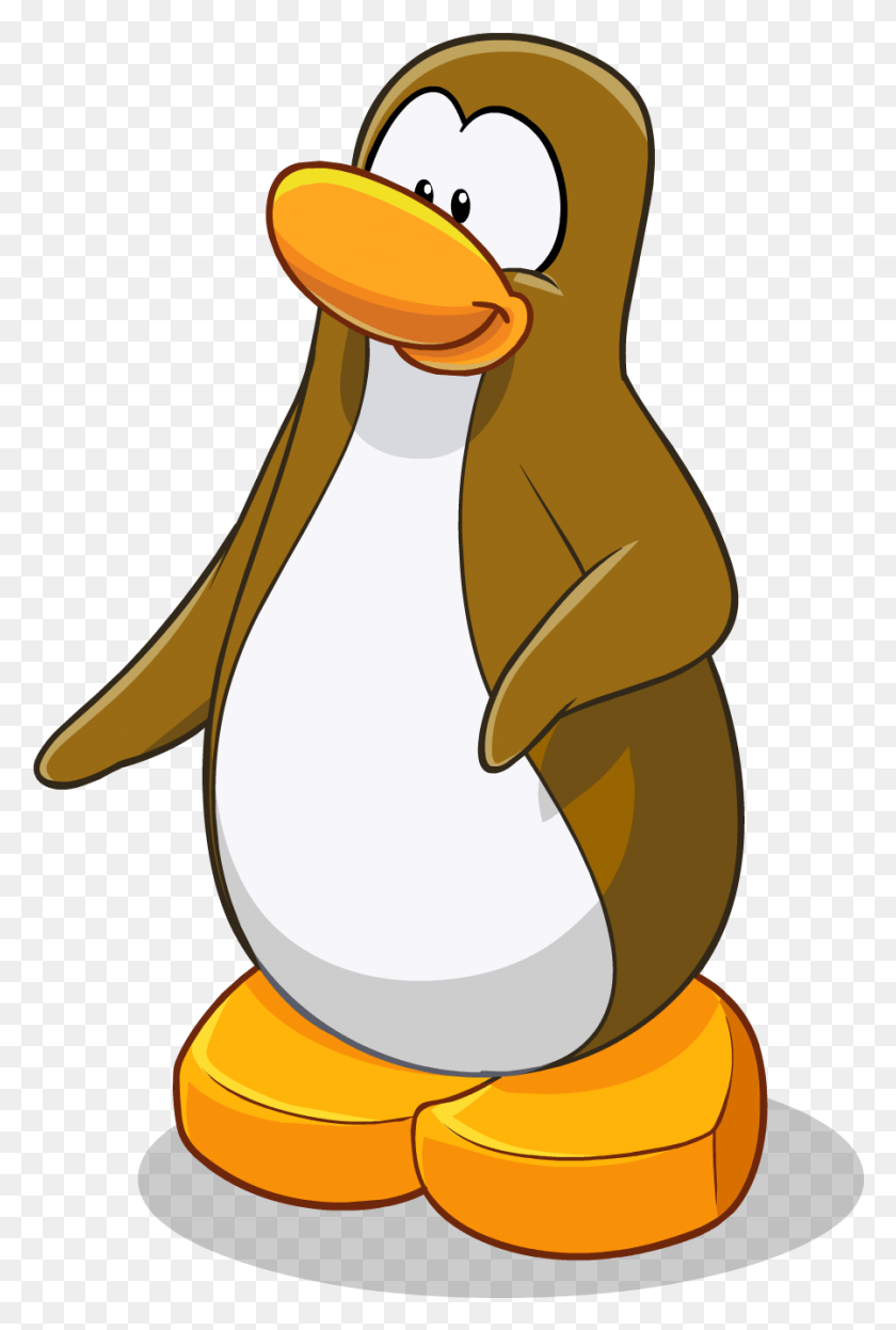 899x1367 Confused Club Penguin Club Penguin Cut Out, King Penguin, Penguin, Bird HD PNG Download